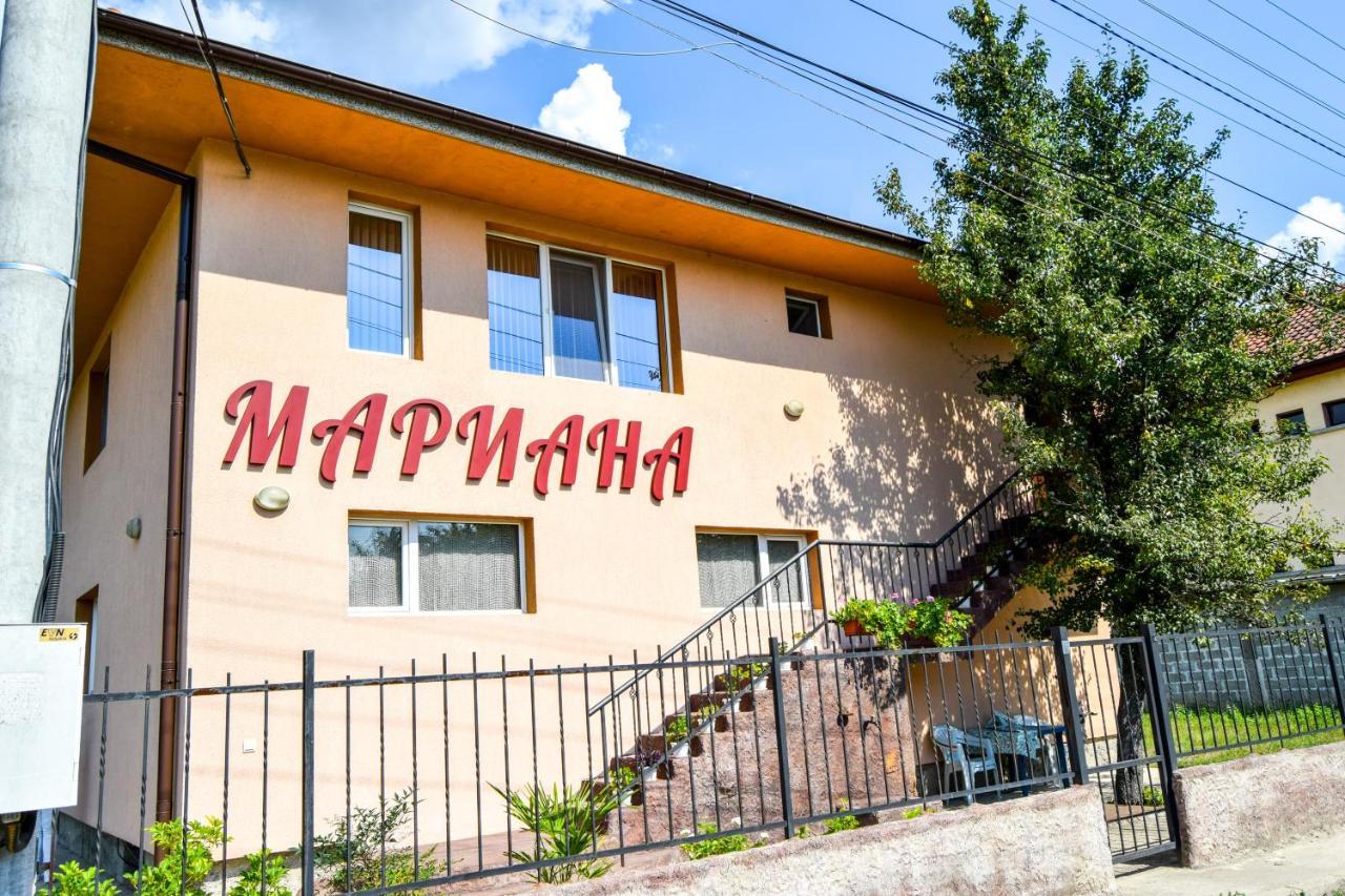 Mariana Apartment Pavel Banya Dış mekan fotoğraf